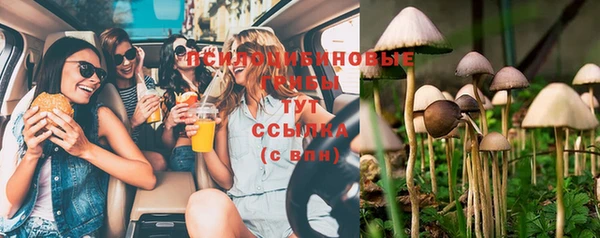 соль курить ск Медвежьегорск