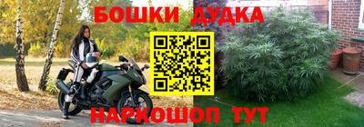 гидра Будённовск