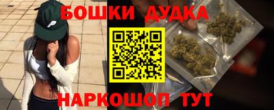 гидра Будённовск