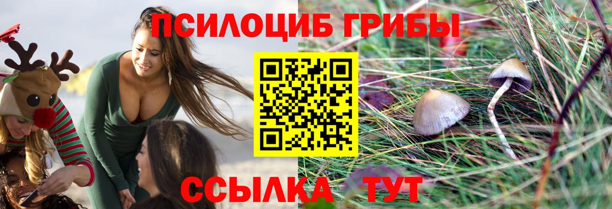 Псилоцибиновые грибы прущие грибы Торжок