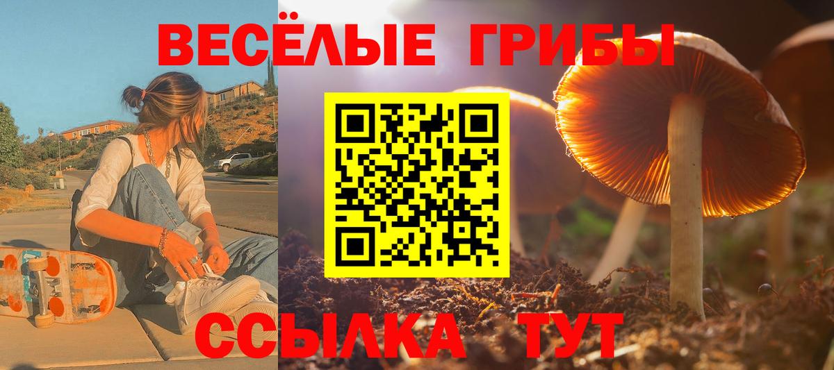 Конопля Торжок