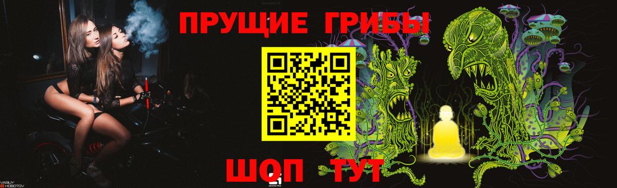 Псилоцибиновые грибы Cubensis Торжок